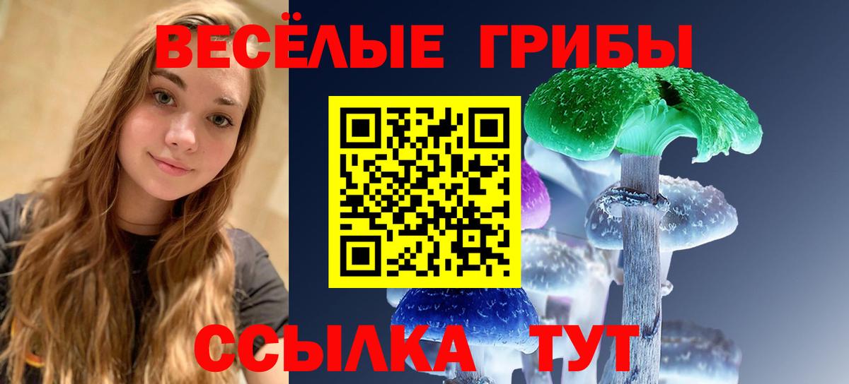 Псилоцибиновые грибы GOLDEN TEACHER  Вход с VPN  Жигулёвск 