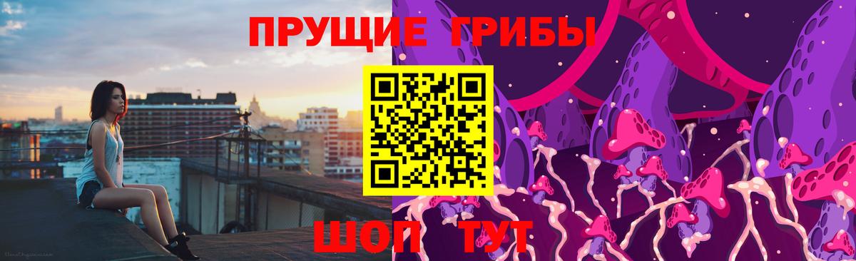 Псилоцибиновые грибы Cubensis Жигулёвск